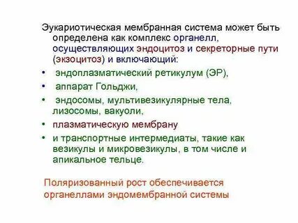 Система может быть