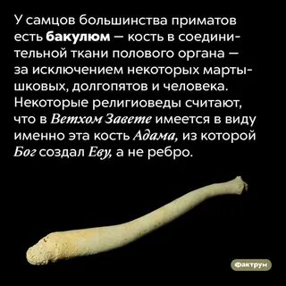 У кости есть девушка