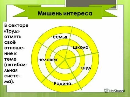 Объяснят как оформить
