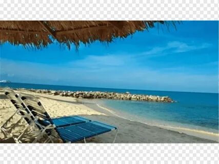 Bin majid flamingo beach отзывы