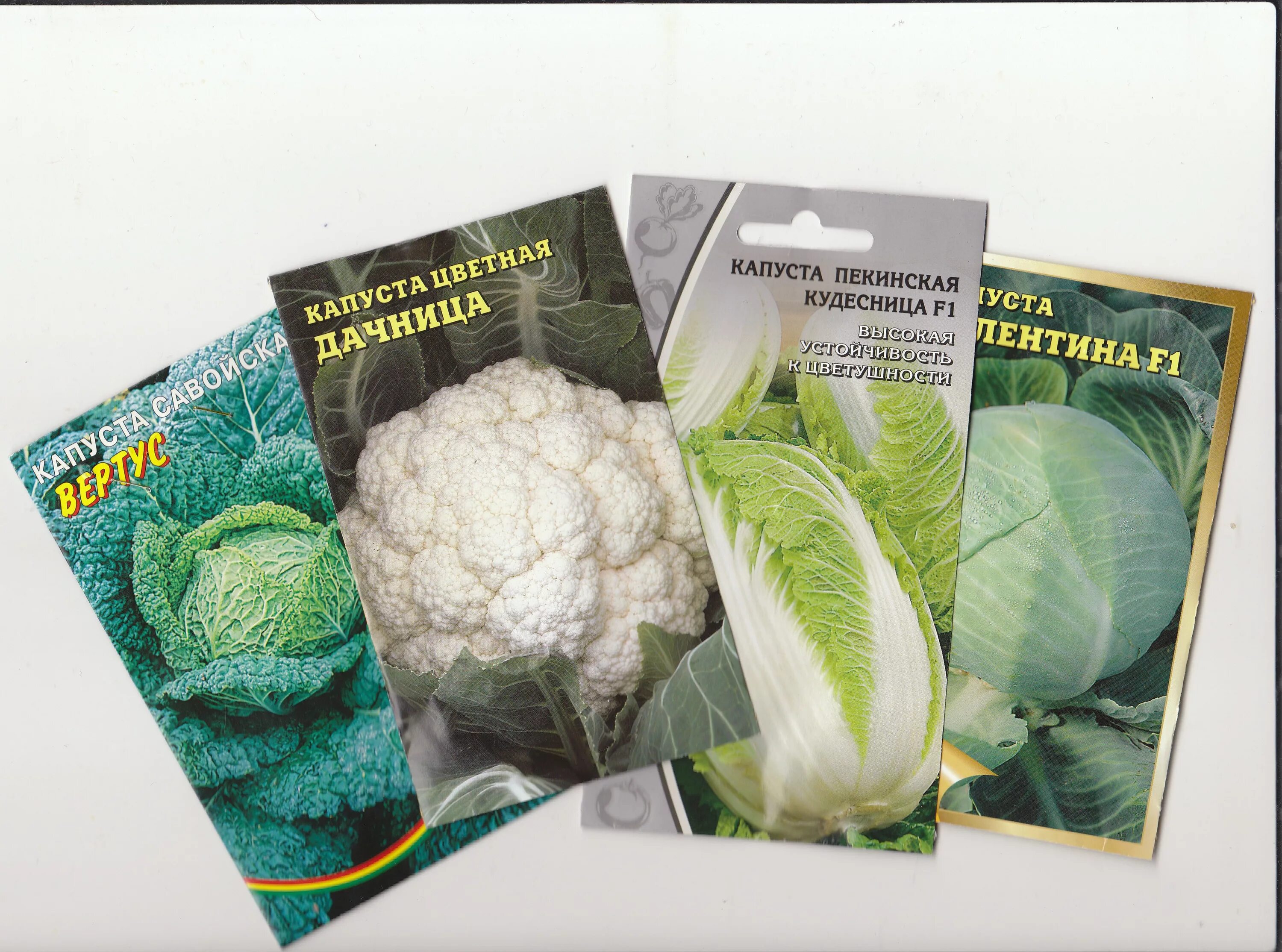 семена упаковка фото. семена овощей в пакетиках. пакетики с семенами. семечки дизайн. семена пакетированные.