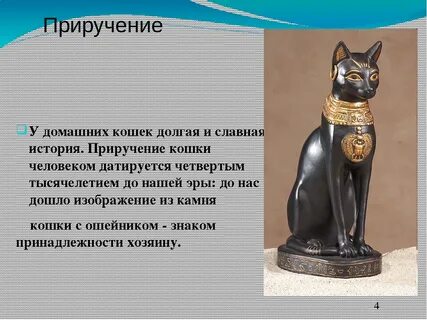 Изложение кошка была приручена в древнем египте
