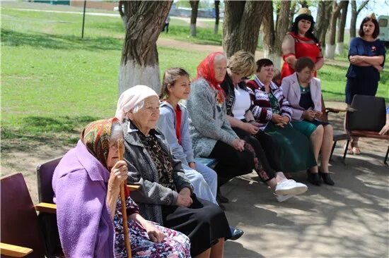 Погода дубовское ростовская область на 3. Администрация дубовского района ростовской. дубовское рдк. рдк дубовский район ростовской области. дом культуры в дубовском районе ростовской области.