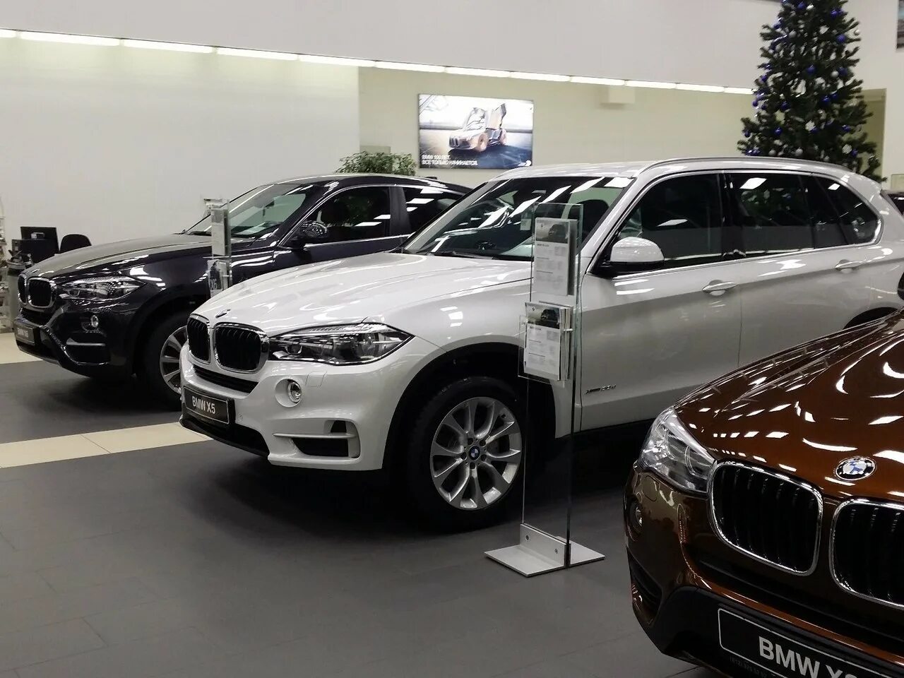 Автосалон bmw. Дилер бмв в санкт петербурге. Mini евросиб, санкт-петербург. Дилер бмв в санкт петербурге. Дилер бмв в санкт петербурге.