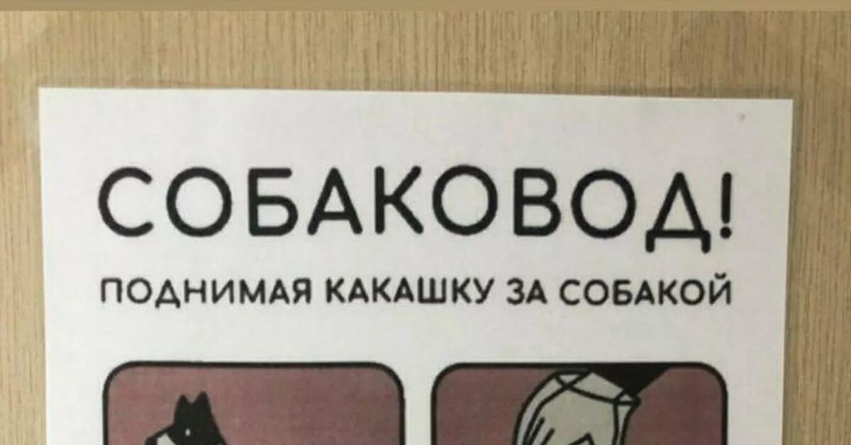 Снять какашку. Убирайте за собаками. Объявление убирать за собаками. Табличка убирать за собакой. Убирайте за собаками знак.