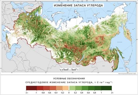 Самые большие запасы фитомассы земного шара