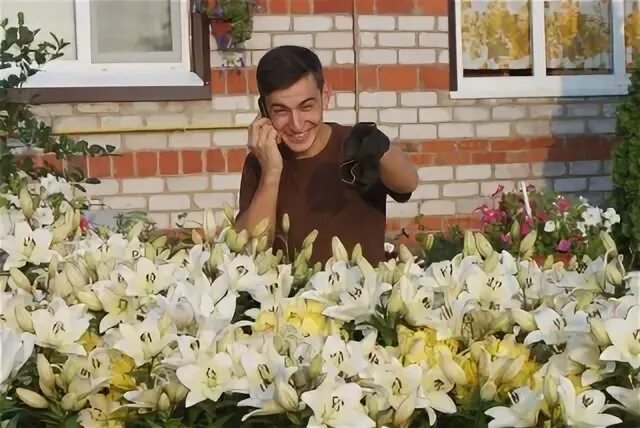 Можгинский питомник. Село можга питомник соковиков. можга питомник. питомники саженцев соковиков село можга.