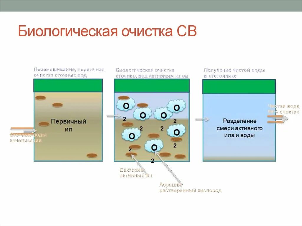 Биологический этап очистки сточных вод. Биологический метод очистки сточных вод схема. Схема биоочистки сточных вод. Биологический способ очистки сточных вод. Очистка вод илом