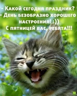 Отсутствие хорошего настроения