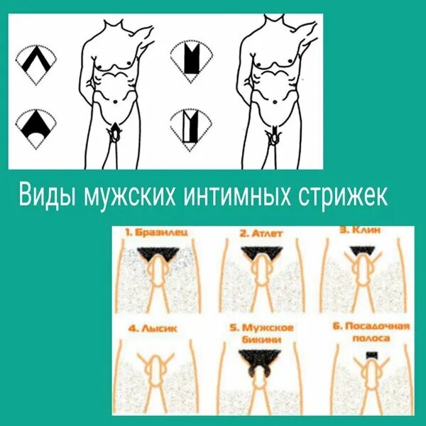 Стрижка интимных мест мужчины. Интимные прически для мужчин