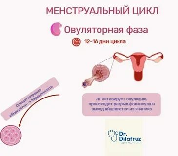 Сколько см раскрытие при месячных