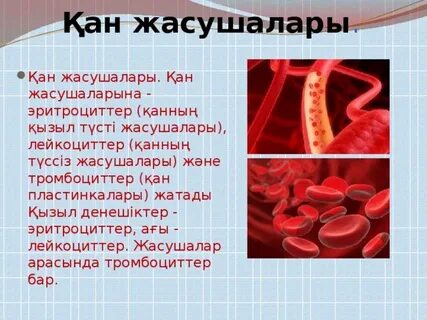 Себебі мен