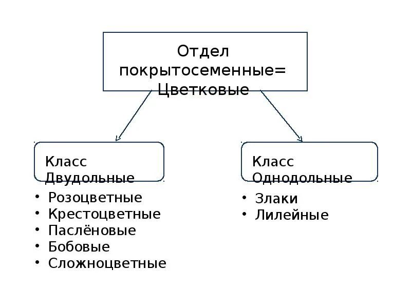 3 признака покрытосеменных. Значение покрытосеменных. Значение покрытосеменных растений. Значение покрытосеменных схема. Роль покрытосеменных растений в жизни человека.