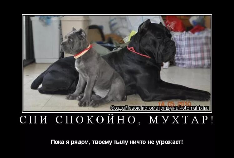 Пострадавшему ничего не угрожает. Ничего пойдет. Афоризмы о шантажистах. Ничем не угрожающим. Без уважения.