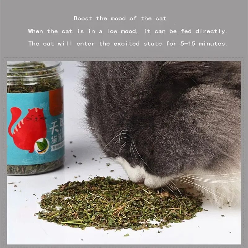 Мята для котов. Зачем нужна кошачья мята. Сухая кошачья мята способ применения. Деревенские лакомства " кошачья мята " 15г (уп-20шт) 79711458. Кошка мята.