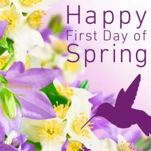 The first of march. Happy Spring Day. First Day of Spring. Happy first Day of Spring. First Day of Spring картинки.