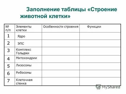 6 класс биология таблица строение растительной клетки