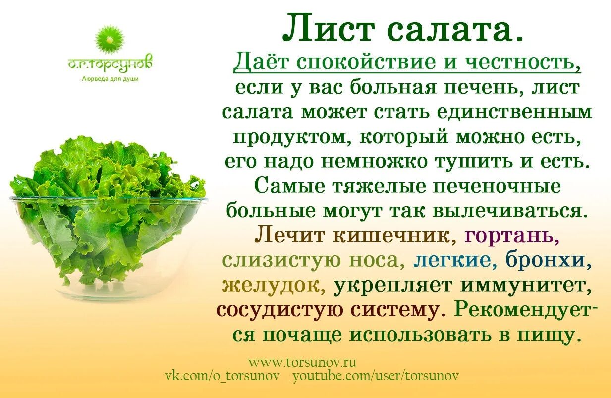 Всегда ли полезен. Чем полезны листья салата. Чем полезен салат листовой. Чем полезен салат. Салат листовой польза.