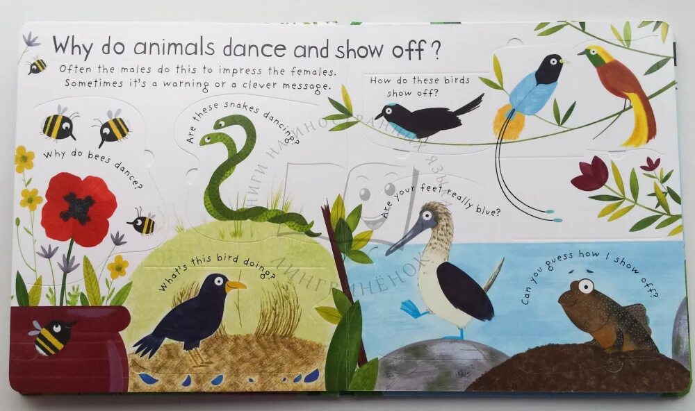 Talk to the animals. Talk to the animals