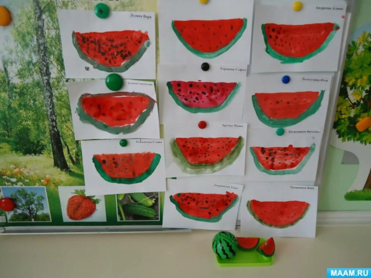 Занятие фрукты младшей группы. Рисование Арбуз в младшей группе. Рисование ягоды в старшей группе. Рисование в средней группе на тему Арбуз. Рисование фрукты в средней группе.