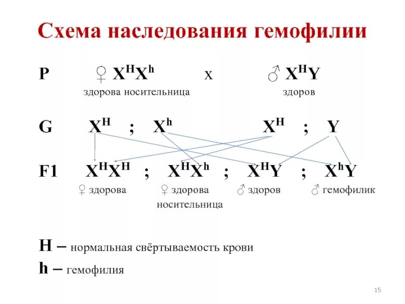 Классическая гемофилия передается. Схема наследования гемофилии. Генетические схемы наследования гемофилии. Наследование сцепленное с полом схема скрещивания. Генетика пола гемофилия задачи с решением.