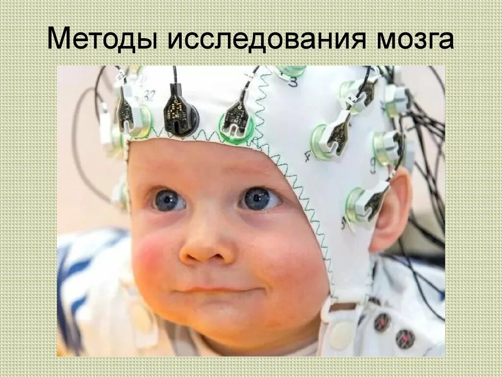 Ээг головного мозга ребенку сколько по времени. Ээг детям. ээг головного мозга. электроэнцефалография у детей. энцефалограмма детям.