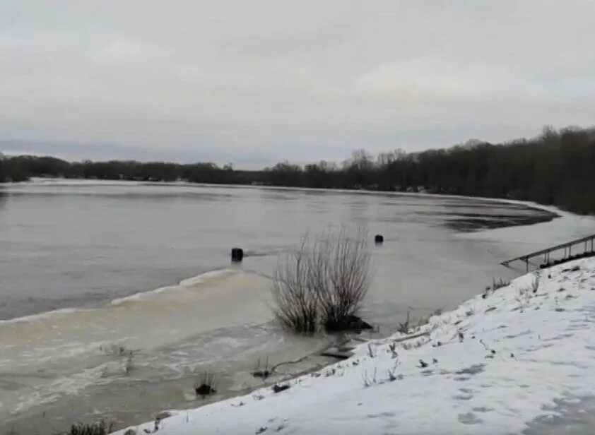 Подъем уровня воды в Оке Дединово. Подъем воды в Оке в январе. Подъем воды в Оке на сегодня в Калуге. Уровень воды Ока Калуга 08.01.23. Уровень подъема воды в оке калуга