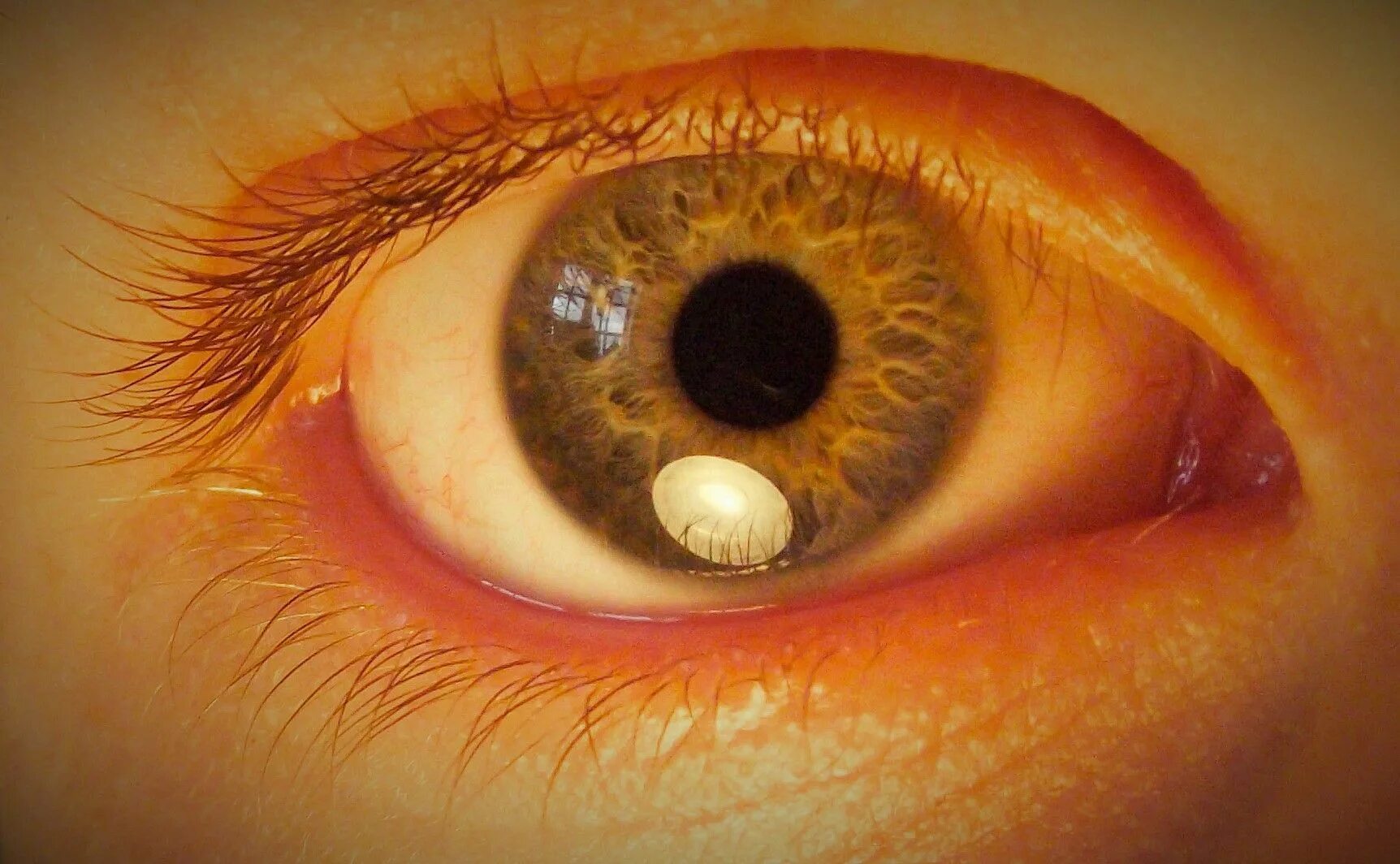Желтый глаз 13. Янтарные глаза. Серо янтарные глаза. Золотые глаза. Желтые глаза.