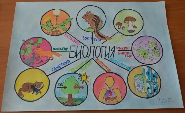 Неделя биологии 6 класс. Плакат по биологии. Стенгазета по биологии. Плакат на неделю биологии. Плакат на биологическую тему.