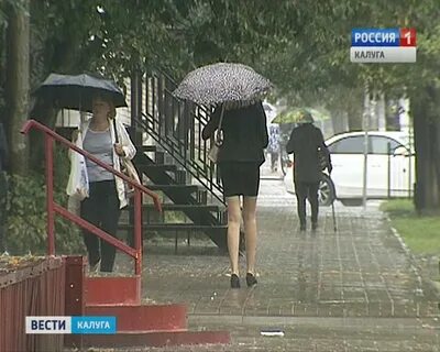 Дожди в конце недели