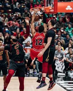 Фото bulls