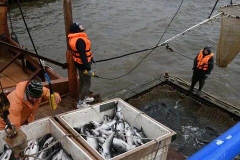Проходной день