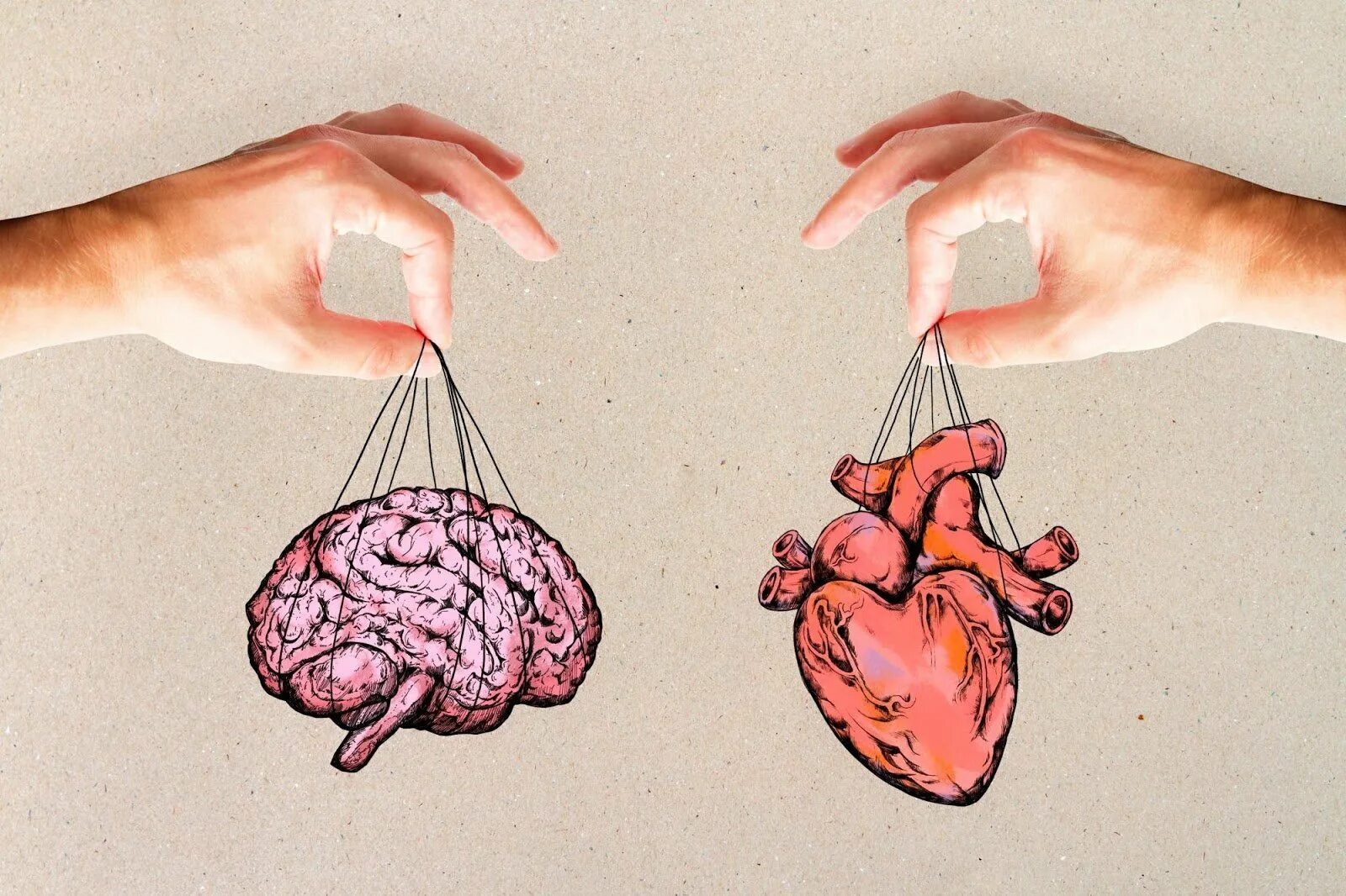 Мозг и сердце. Мозг против сердца. Сердце и разум. Сердце и мозг взаимосвязь.