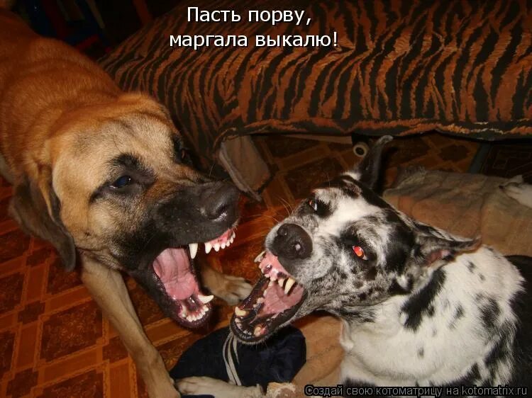 мартиросян щас спою. гарик мартиросян 2023. картошка ноты.