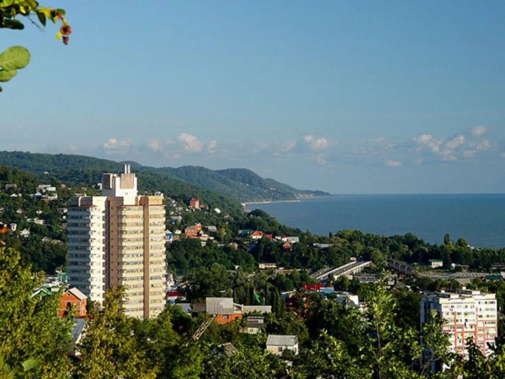 население сочи краснодарский край. численность г сочи. население сочи. сочи центральный район. посёлок лазаревское сочи.