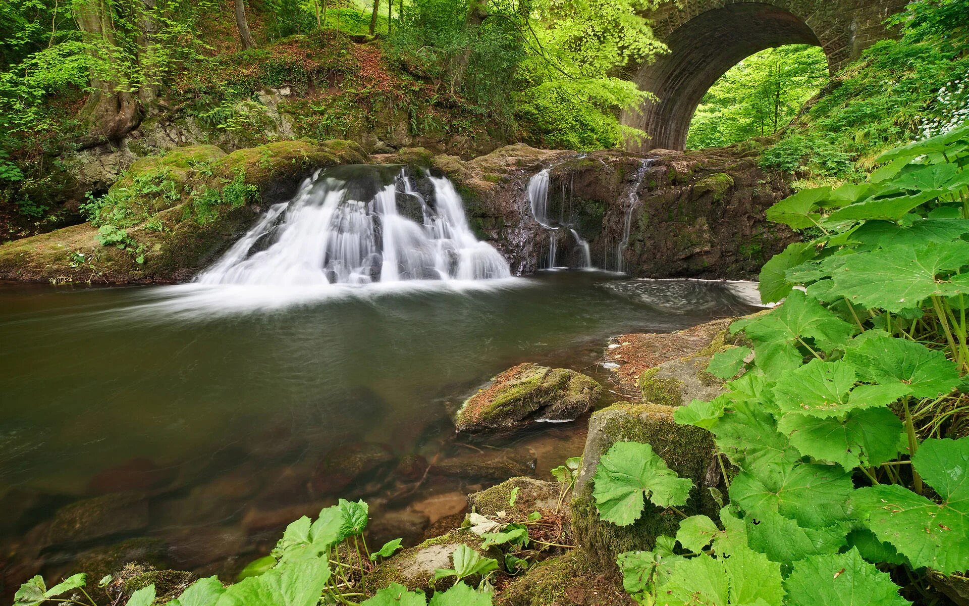 Водопад каменный мост. Шотландия природа водопады. Водопад с цветами. Cascad