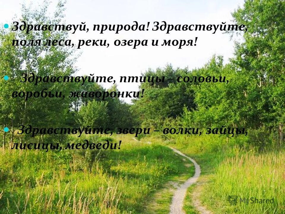 русское поле в произведениях. пусть спокойно в нашей школе спит до осени звонок. мы долго лета ждали. здравствуй поли. презентация на тему морока от солнцепёка.