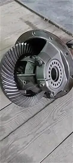 4255118365 цв 50 рзм m. 4255118365 цв 50 рзм m