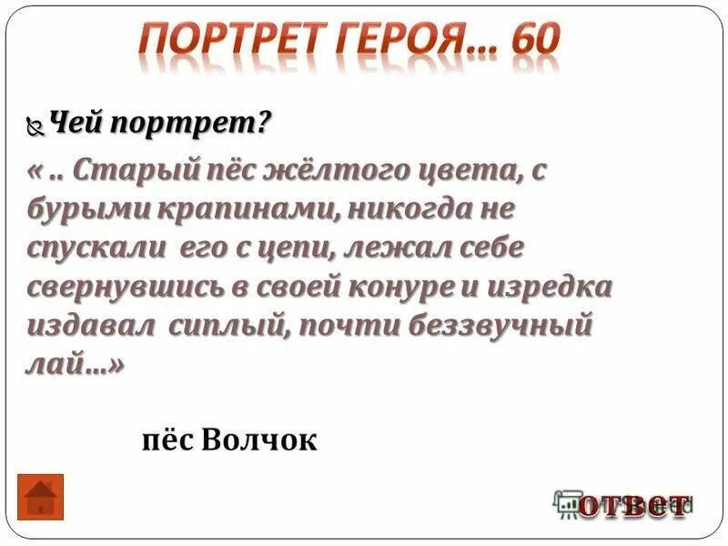 золотистый ретривер желтый. глаза собаки. собаки желтого окраса. старый пес желтого цвета с бурыми крапинами. голден ретривер рыжий.
