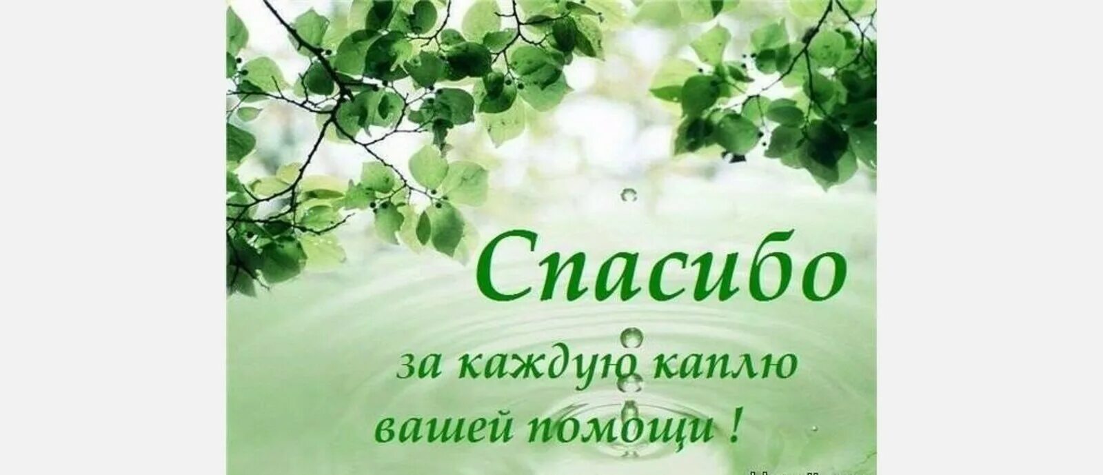 Спасибо за такую поддержку. Открытка спасибо за поддержку. спасибо большое за поддержку. благодарность за поддержку. открытка с благодарностью за поддержку.