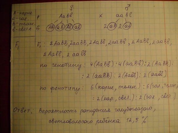 Отец доминирует над дочерью. В семье родился голубоглазый темноволосый ребенок. Задача по генетике вьющиеся волосы. У гетерозиготных кареглазых родителей родился голубоглазый ребенок. Задача на светлые и темные волосы.