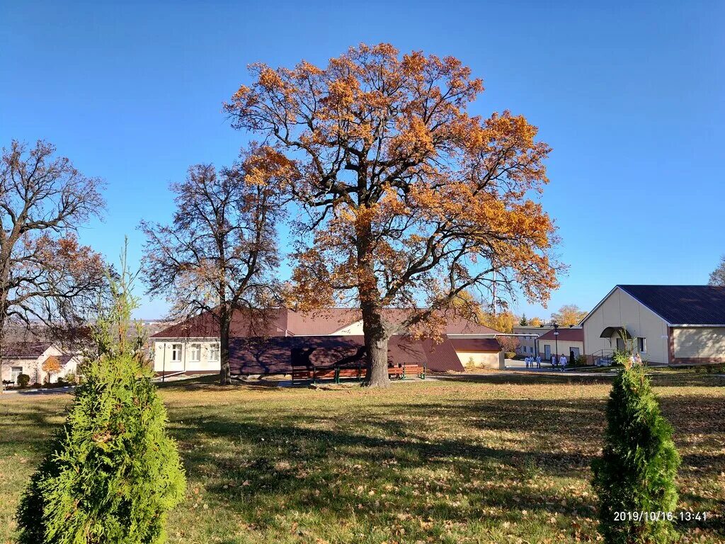 микрорайон восточный старый оскол детский сад. старооскольские сады. старооскольские сады. детский сад 73 старый оскол. старый оскол детский садик 20.