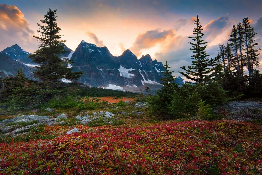 Фотограф Кевин МАКНИЛ Kevin MCNEAL. Канада красоты лес. Природа Северной Канады. Красота природы. Растительность канады