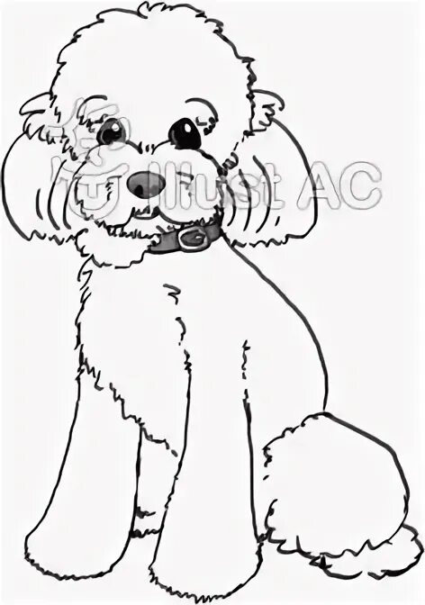Раскраска пудель для детей распечатать Dipok_k12: I will draw amazing digital coloring book page for adults and kids fo