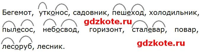 Подчеркни соединительные гласные. К слову лес Подбери и запиши однокоренные слова в порядке схем 3 класс. Проверочное слово к слову садовник. Подчеркни соединительные гласные рыболов водолаз пешеход. Объясни значение слов холодильник пылесос картинки.