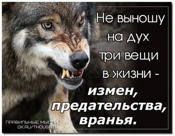 Простить вранье. Ложь и предательство. Статусы о предательстве и лжи. Ненавижу предательство. Ненавижу предательство и ложь.