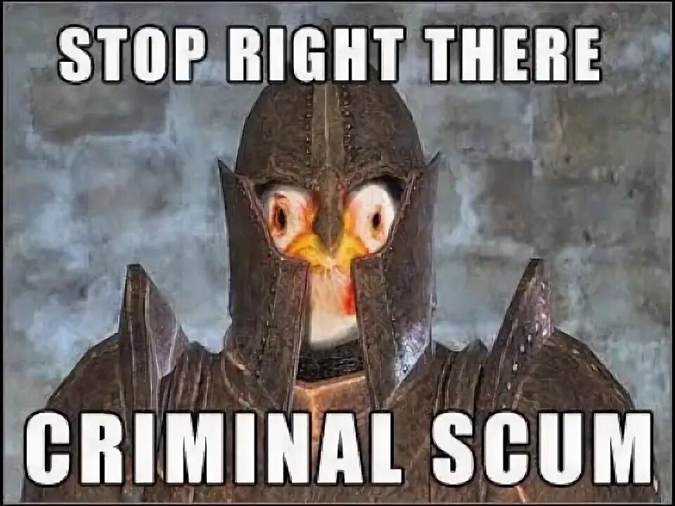 Stop right there criminal scum. Серый лис the elder scrolls. Стой преступное отродье. Обливион имперский стражник. Стражник из обливиона.
