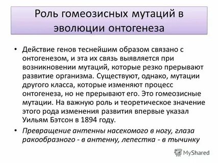 Охарактеризуйте роль мутационной изменчивости в эволюционном процессе