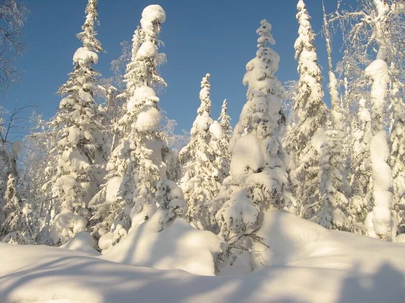 термометр зима. снег в москве. памятка сильные морозы. холодная зима. термометр уличный.