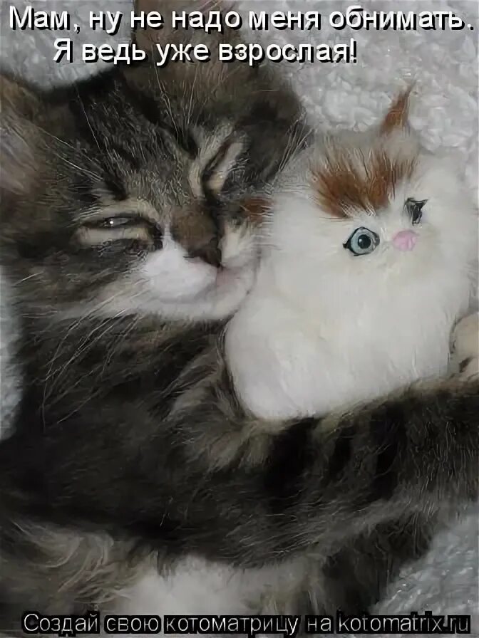 ну пожалуйста. ну маме надо. мама не надо мем. как харашоуметь щитать. ну мам мем.